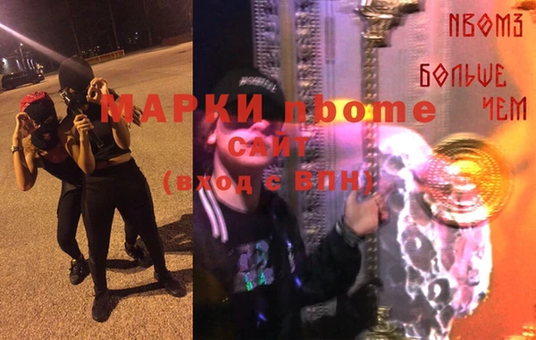 индика Аша