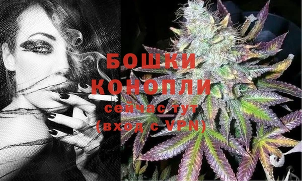 шишки Абдулино