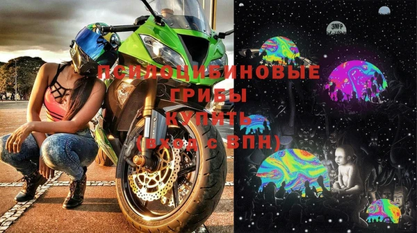 шишки Абдулино
