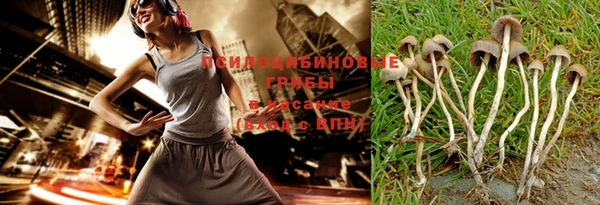 соль ск Абинск